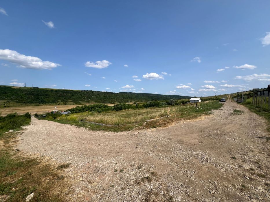 Teren Intravilan Carlig - Carolina  1500 mp Iasi 5 km pana la Mihai Viteazu cel mai mic pret din zona. Oportunitate investitie