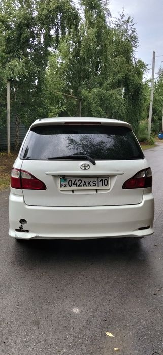 Тайета ипсум срочно