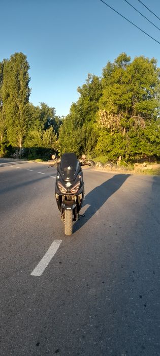 Макси папет 165сс