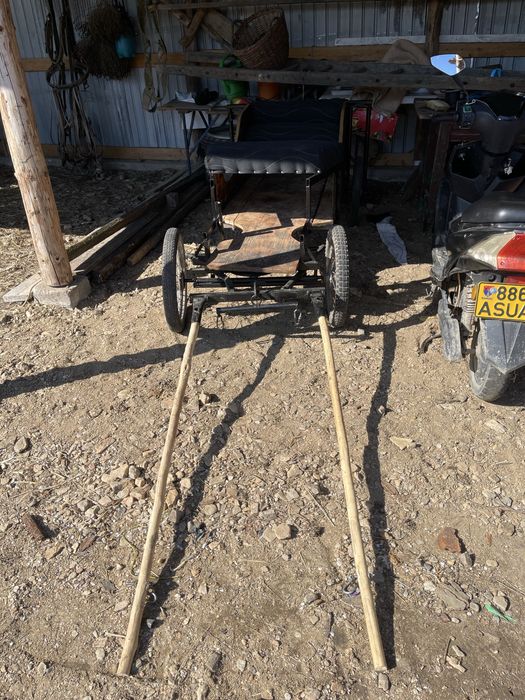 Vand sareta pentru ponei