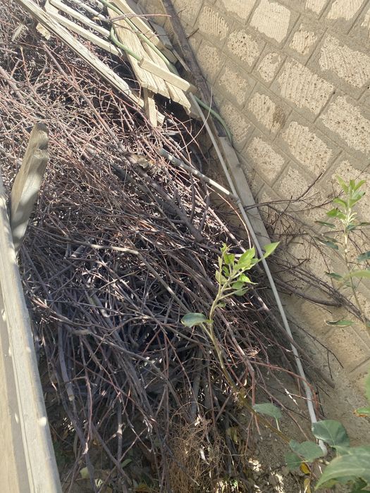 Палас жайнамаз жане отын сатылады