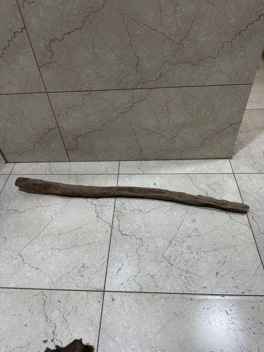 Karyaga sotiladi akvarium uchun