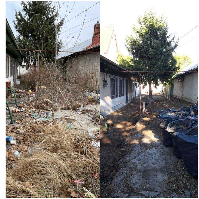 Defrisare Curatare teren Vegetatie Arbusti Ambrozie, Tocare crengi