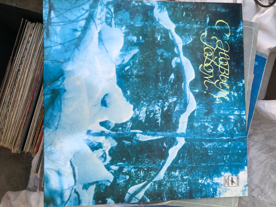 Виниловые пластинки