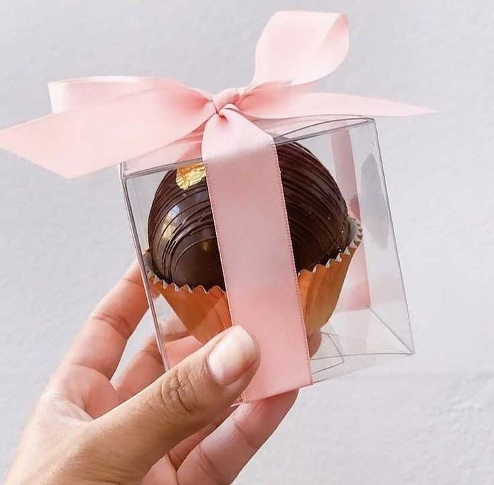 Прозрачные коробки, тойбастар