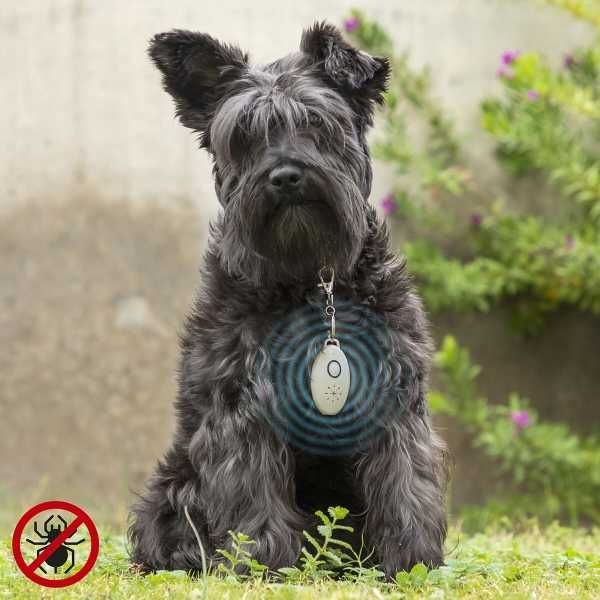 Dispozitiv cu ultrasunete impotriva puricilor capuselor caini pisici