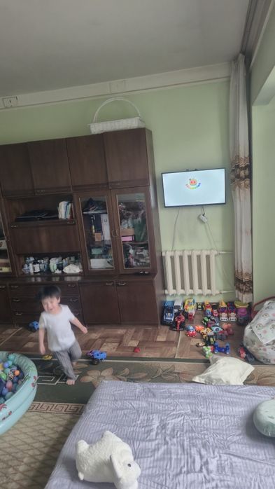 Сергели 2   Корзинка 2х.ком