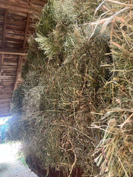 Baloți de lucernă