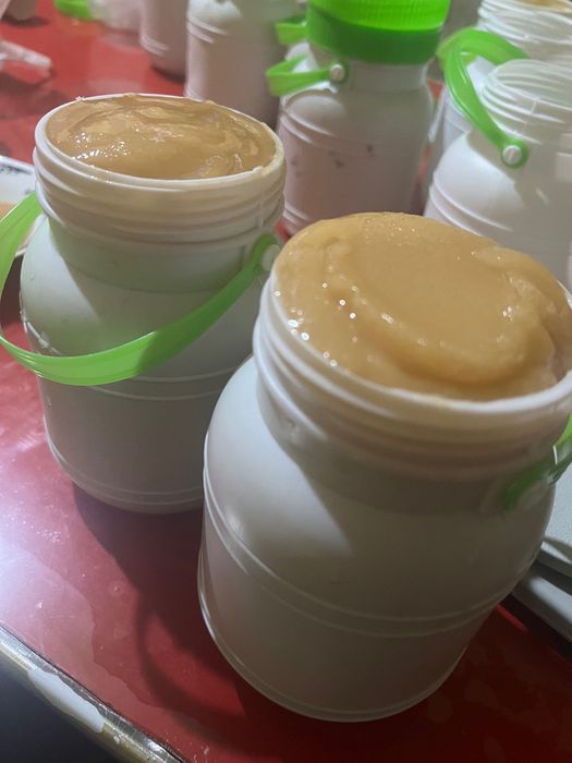 Асал. Toza asal 100 foiz javob