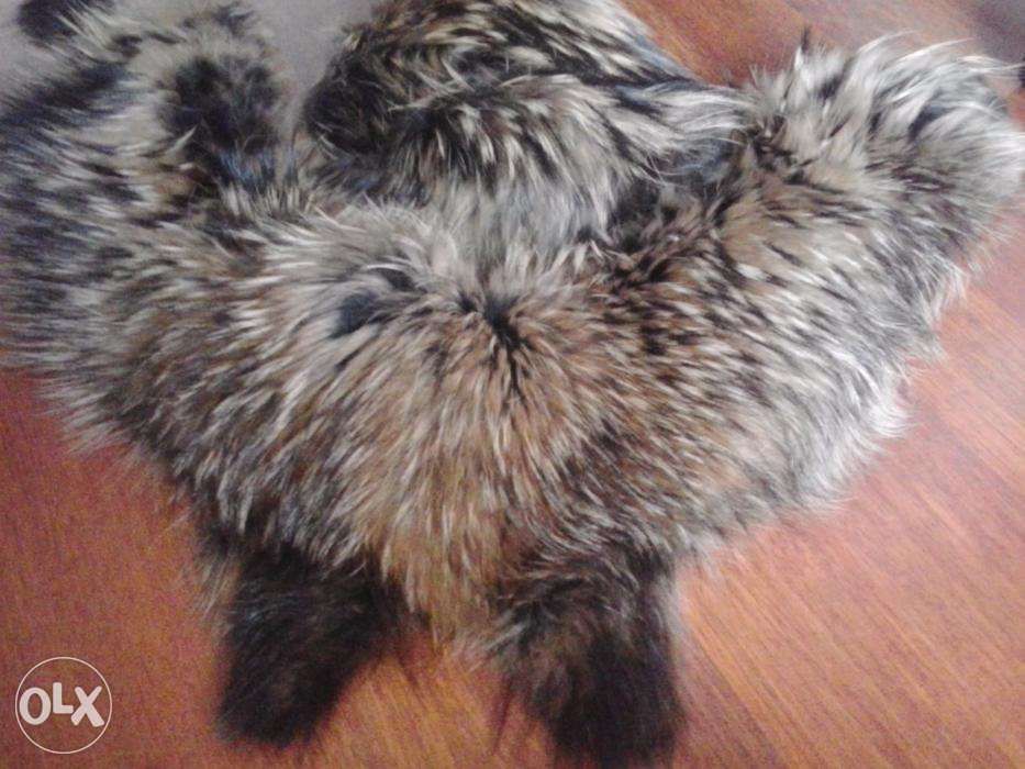 Меховой воротник - енот