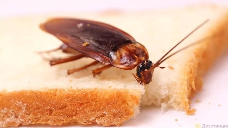 Офистердегі санитарлық қізмет