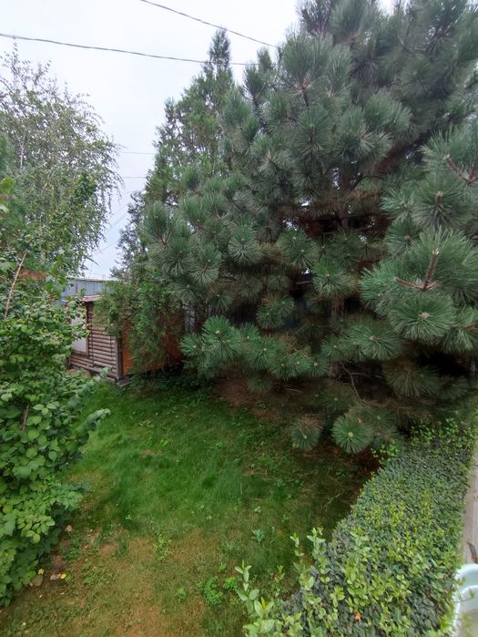 Продам Дом  из красного кирпича
