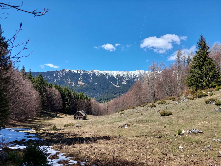 Teren Ciocanu Sirnea