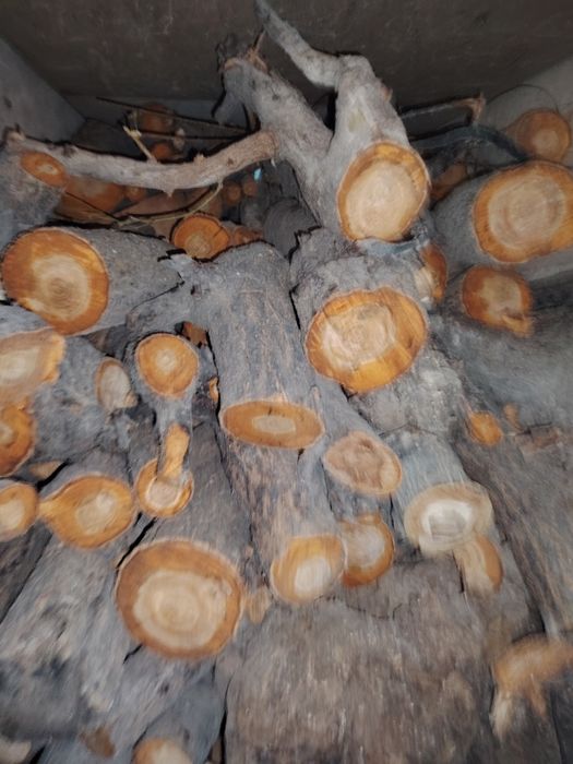 У'тин сотилади лабода