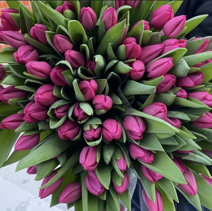 Тюльманы к 8 марту