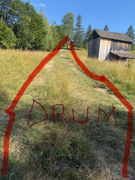 Vand teren extravilan / Zona Salatruc