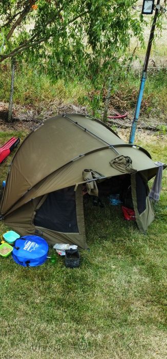 Cort Fox R series xl