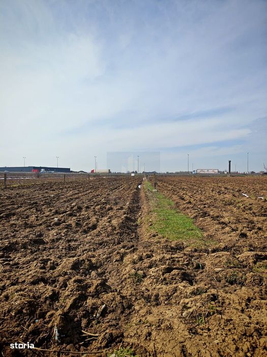 Teren de Vanzare Industrial Caciulati A3