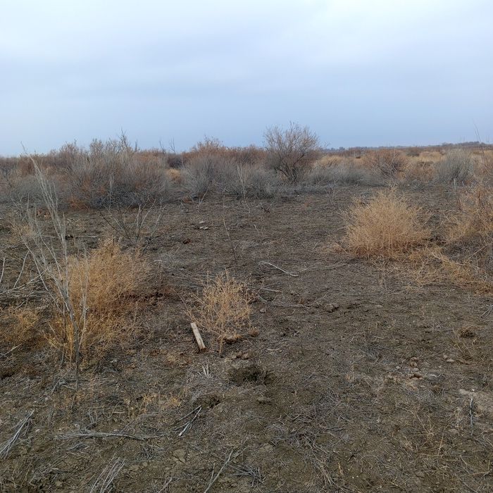 Очередь на землю