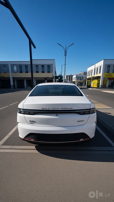 BYD CHAZOR DM-1 1chi pazitsa 2024 va 2025
