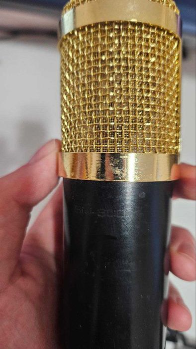 Microphone BM800 XLR