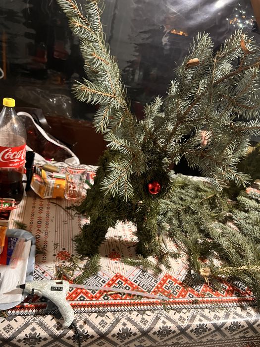 Renii facuti din brad ,, mari si mici