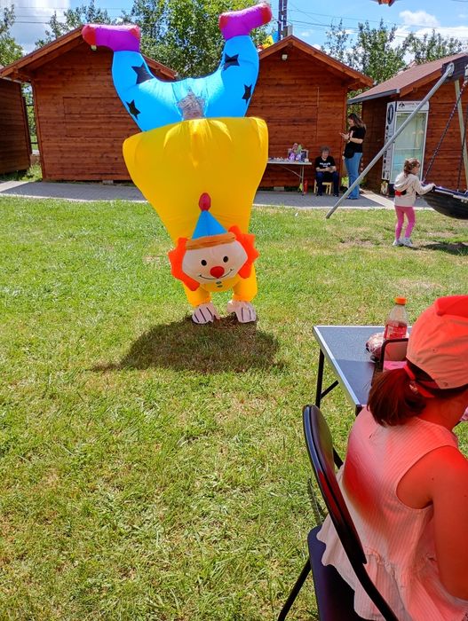 Pictură pe față/ activități copii si Kids corner pt nunta/botez