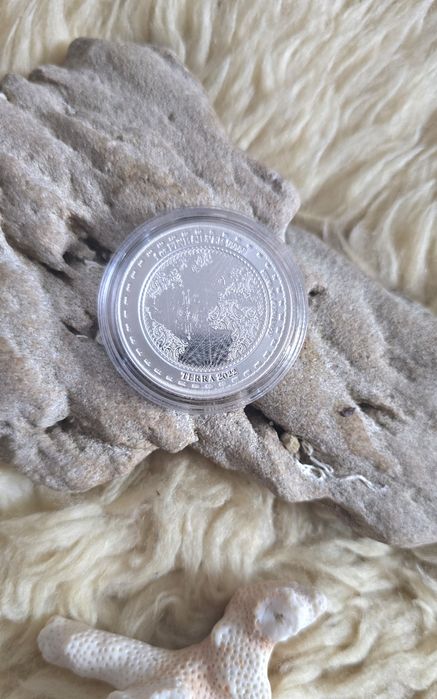 Moneda Argint TERRA 2022 – Tokelau | 1 oz Fine Silver 9999
