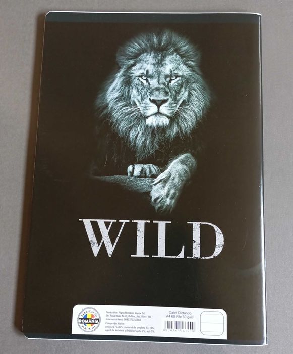 Ghiozdan, rucsac, caiete