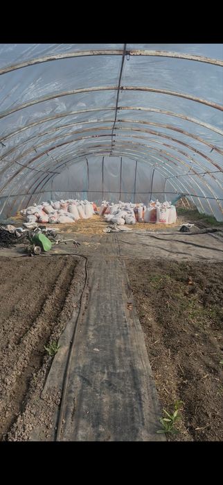 Продам Теплица