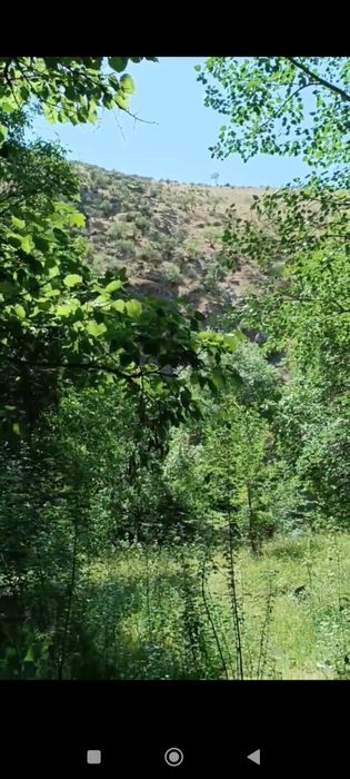 Бизнес режа. Зўр даромад кўриш режаси.