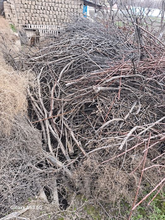 Утин, мевали дарахт, новойлар, самсачилар учин тандир учин арзон