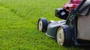 Посев и укладка газона, установка микроклимата