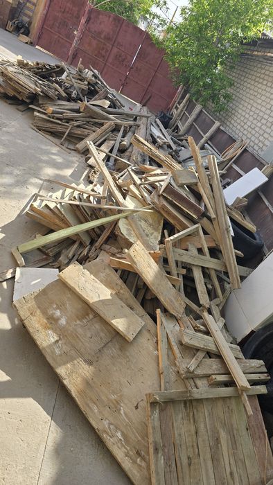 агаштар дерево 10000 тг