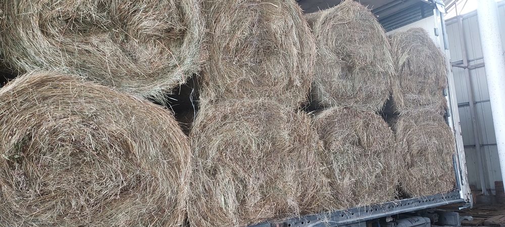 Baloți de fân, lucernă dreptunghiular,rotund! Se asigura transport!