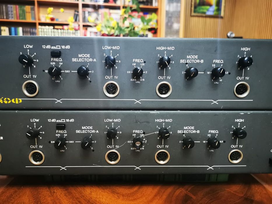 Активный кроссовер TESLA