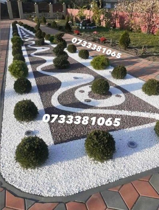 Plante ornamentale tuia,mestecan,ponpon,specialități oriunde in țara