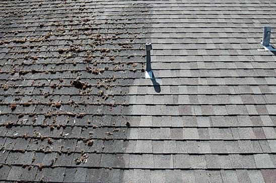 Услуги за почистване на дворове и покриви