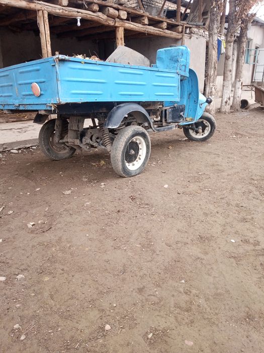 Savet mattaroli muravey