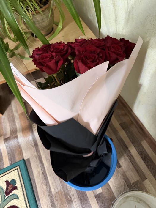 Цветы отдам дешево