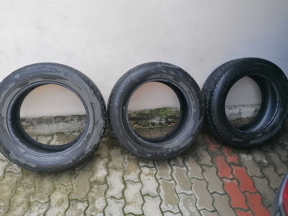Anvelope (Cauciucuri)
