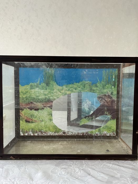 2 стеклянных аквариума