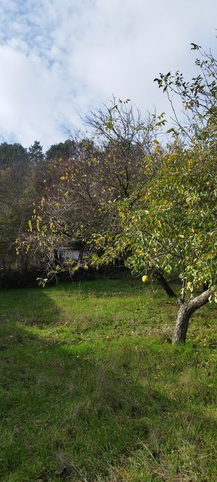 Продава се Парцел в Белослав - 466 кв.м за 38 €/кв.м - Снимка #1