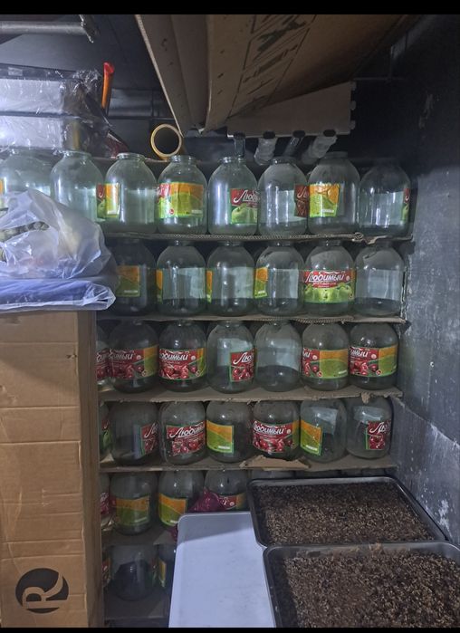 Bonkala bor 5000 dan