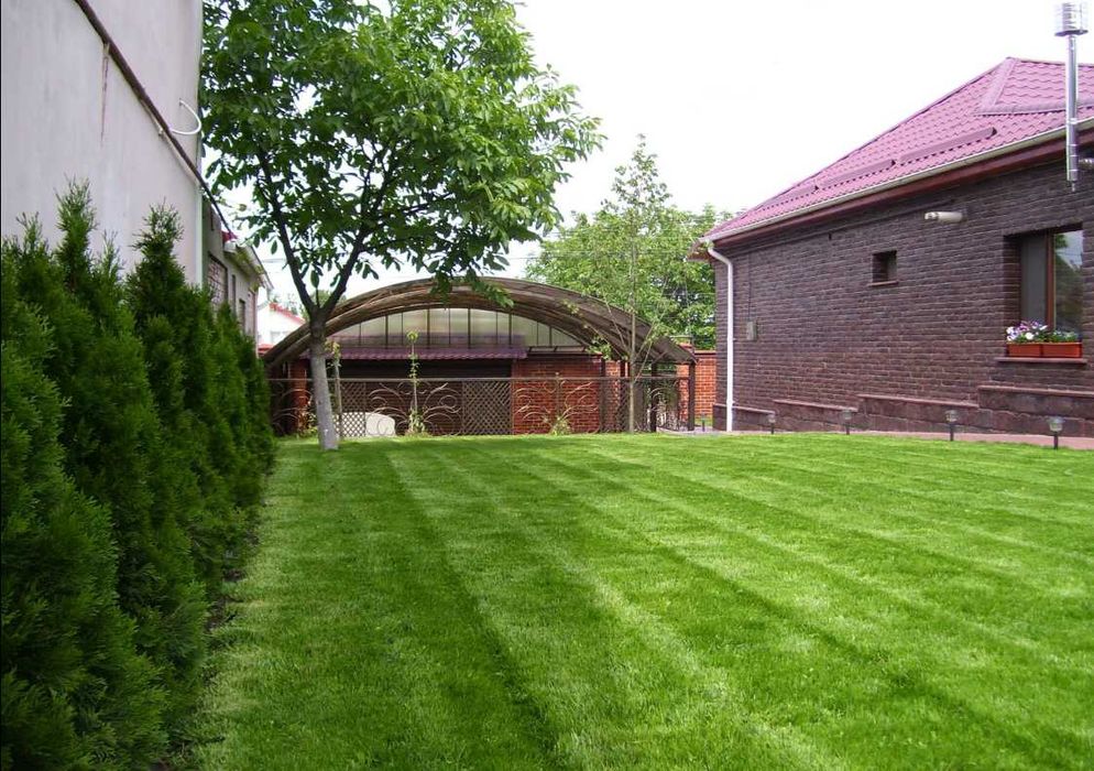 Gazon Natural pentru Gradina - Amenajare Completa