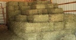 ШОП МАЛДЫН жакс шоп 100 штук бар +-