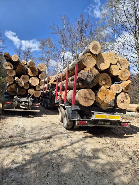 Lemn de foc, esenta FAG