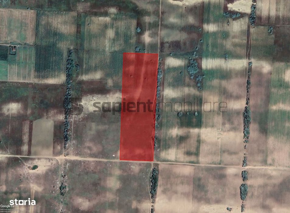 Sapient | Teren agricol _ loc. Desa, jud. Dolj