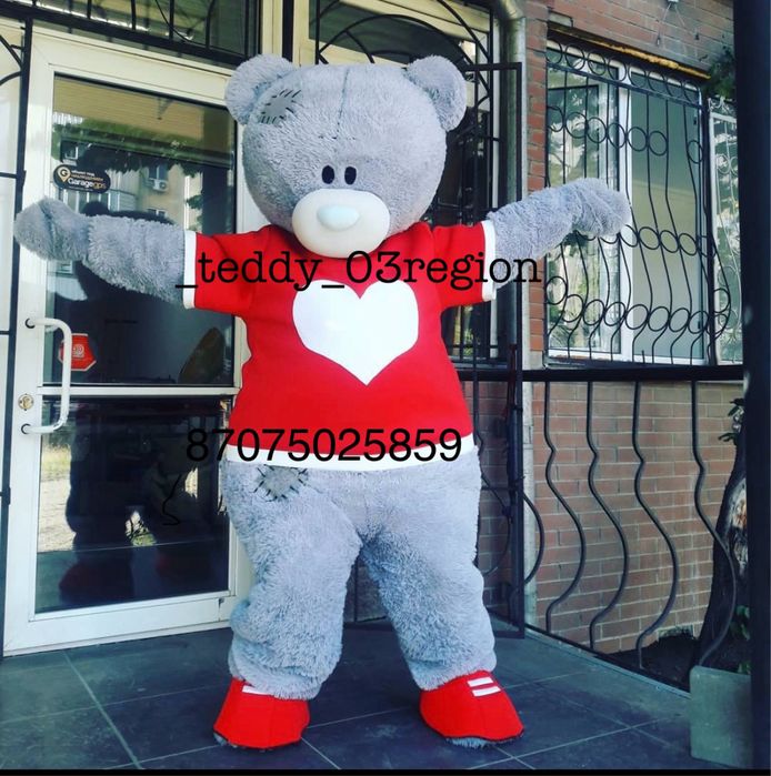 Мишка Тедди поздравит вас