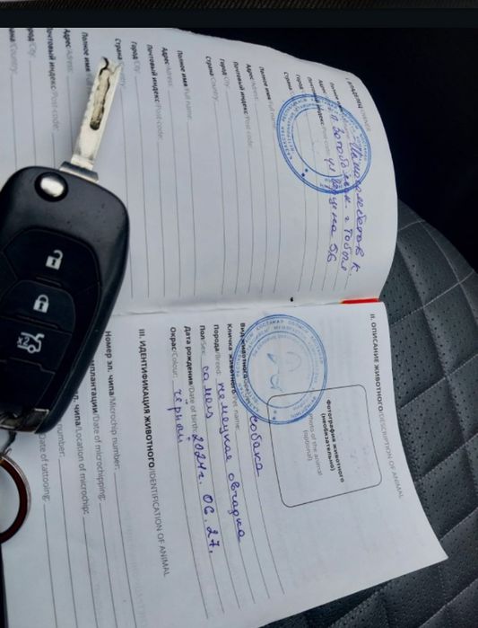 Продам авчарку немецкая